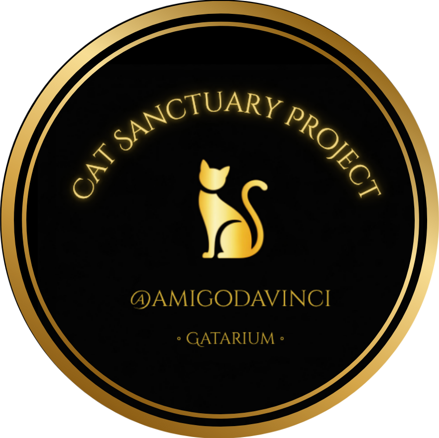 Refugio de gatos, cat refuge, cat sanctuary, cats, gatos, non profit, activista de gatos